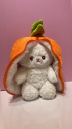 🐰 خرگوش سوپرایزی