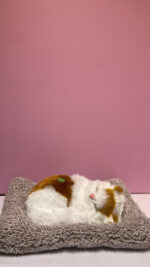 عروسک گربه موزیکال - Image 3