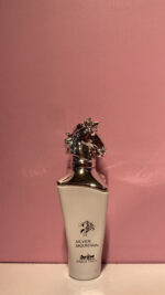 مینی ادکلن SILVER MOUNTAIN ❄️